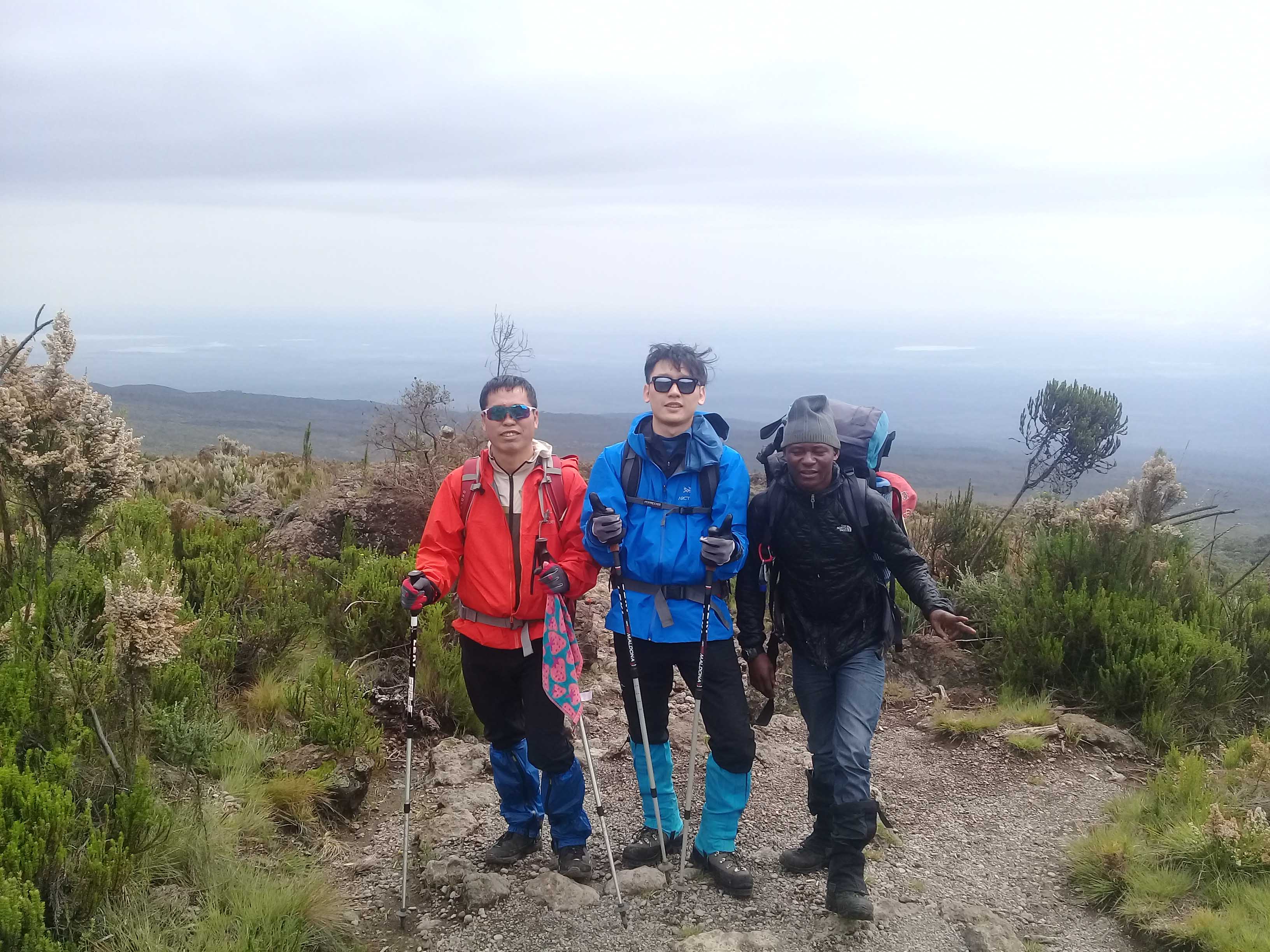 11 Days Northern Circuit Route Kilimanjaro Climbing